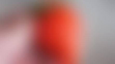 新潟伊勢丹店 ご愛顧感謝 春の日帰りバスツアー