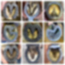 Horseshoes.jpeg