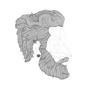 Logo kieran (3).png