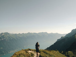 It's the New Year: Reflections on the Estrangement Journey