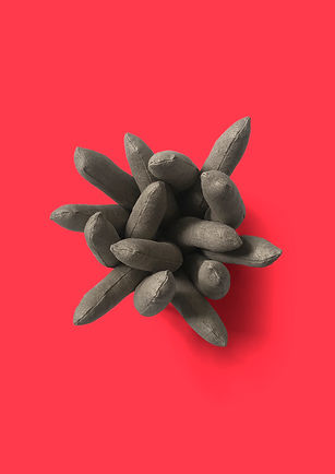 hjoertur image 3.jpg