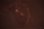 Orion Nebula, Witch Head Nebula & barnard's loop (Starless)