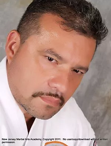 Hanshi.webp