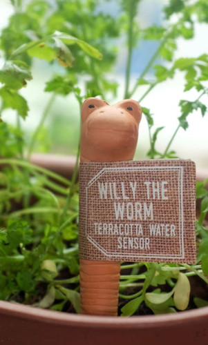 Willy The Worm – Sensore D'Acqua Per Piante In Terracotta, Grande (16 Cm), Indicatore Di Irrigazione Per Giardinaggio