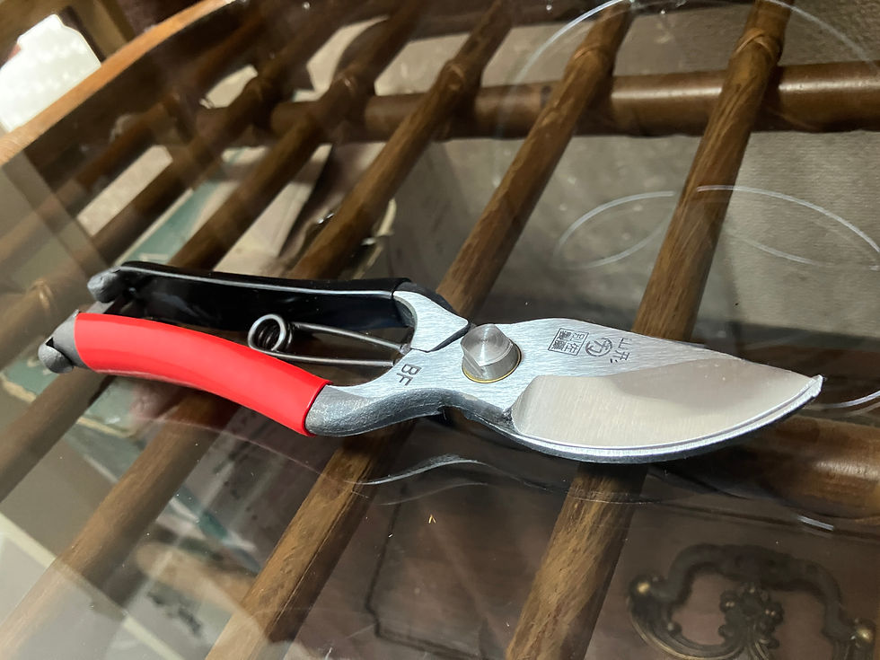 サムネイル： マルマン剪定鋏ＢＦ型200ミリ