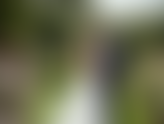 Essential Components of Wedding Photo Packages