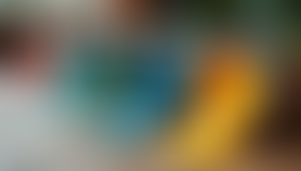 Reviewing High-Quality Paint Brands: Understanding Paint Quality Standards