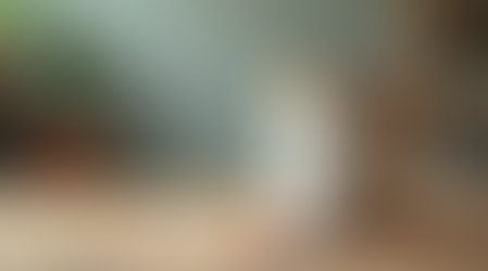 Why Paint Product Quality Standards Matter for Your Property