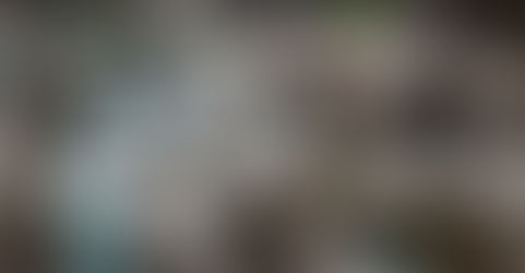 Explorando o Vale da Lua na Chapada dos Veadeiros: Uma Experiência Inesquecível de Conexão com a Natureza