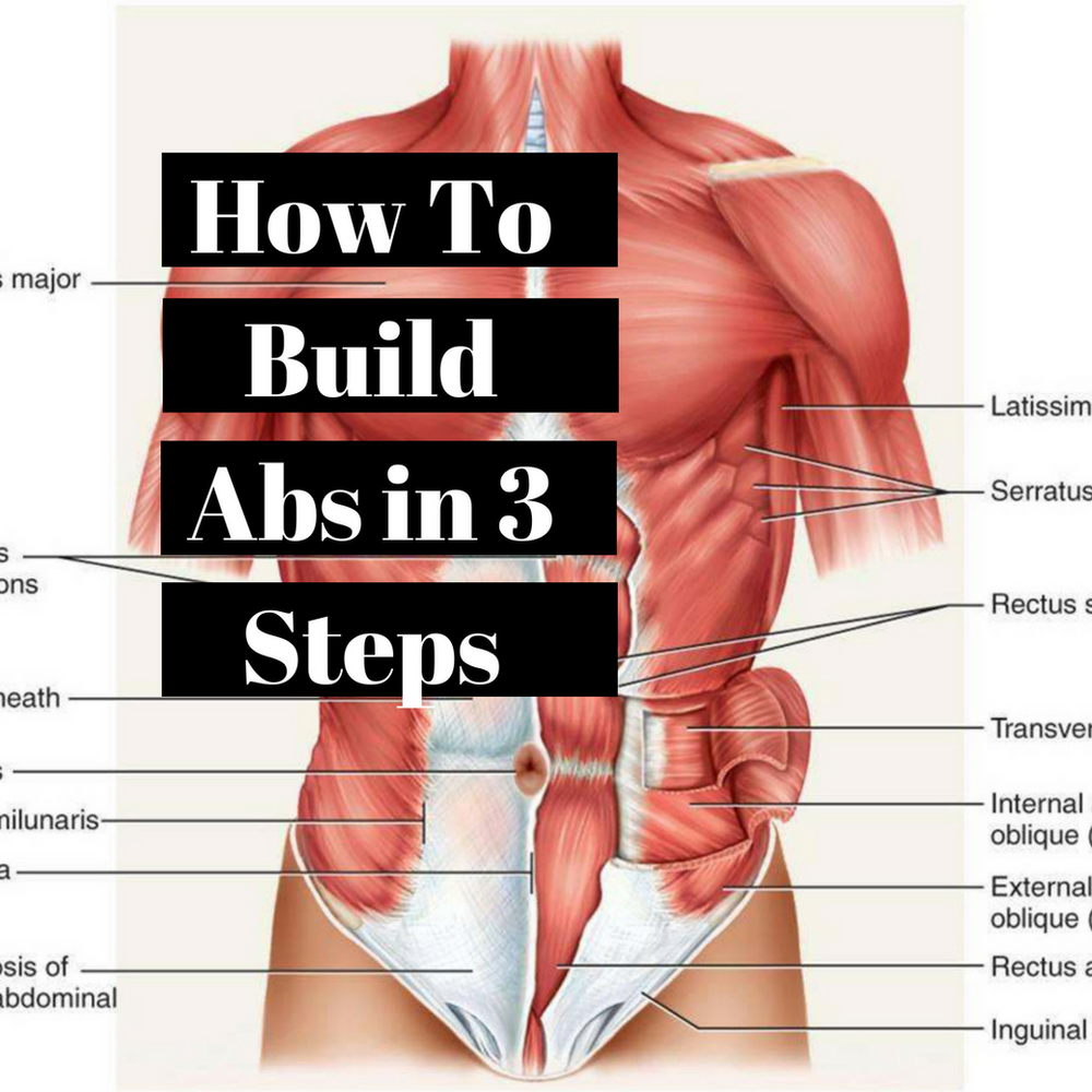 How to get abs in 3 steps