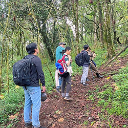 Hikers on a forest trail for 3-Day Mt Elgon Summit