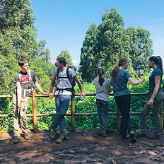 Hikers on a Wanale Falls Hike and Tour overlooking nature