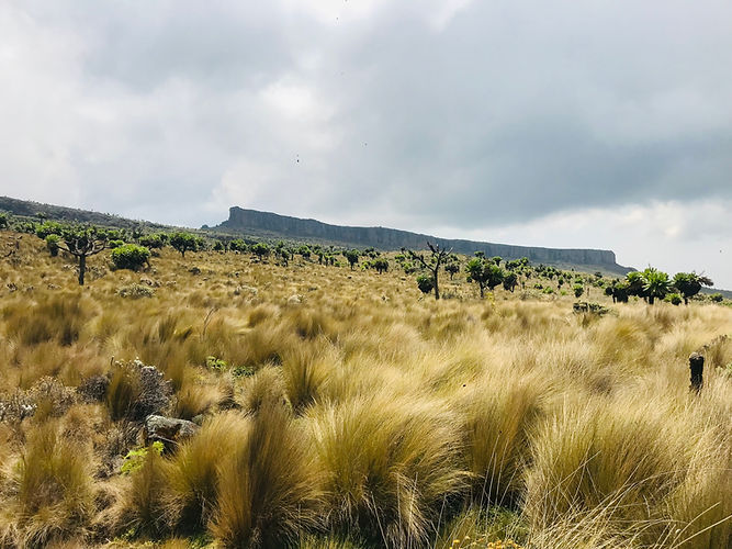 Masaba Table on Mount Elgon