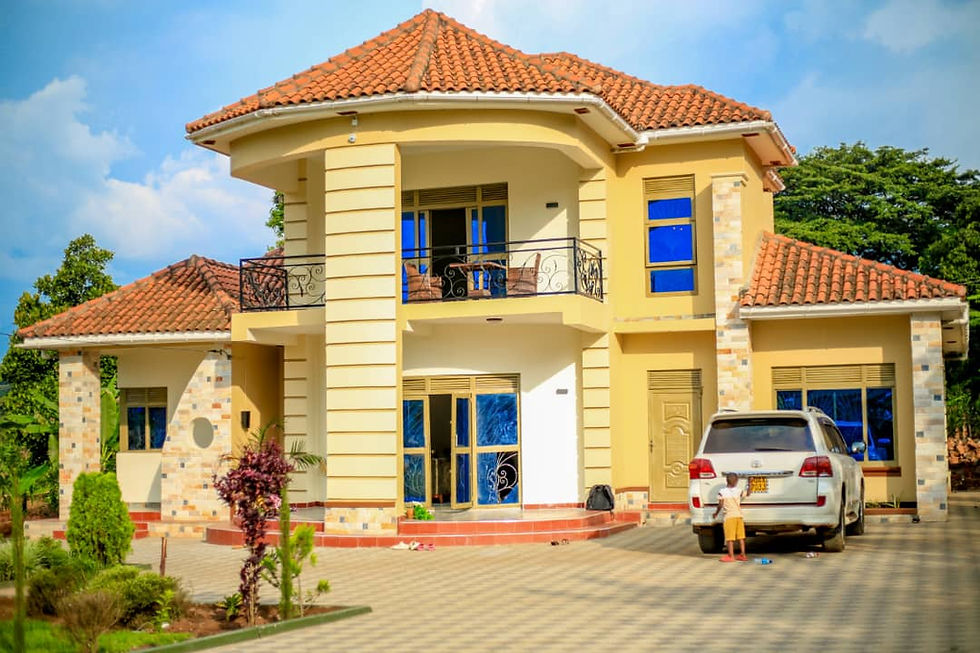 Exploring the Improved Sasa Trail (2026): Mount Elgon Lodging Options.