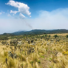 View of the kenyan side on mt elgon
