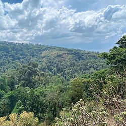 Lush green forest covers Mount Elgon National Park mountains under cloudy sky.