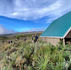 A hut at Dubbi Campsite Mount Elgon