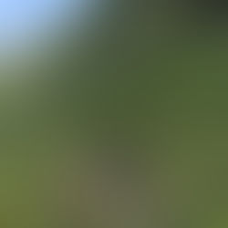 Clients walking on one of the trails on Mount Elgon