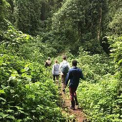 Hiking through thick forests