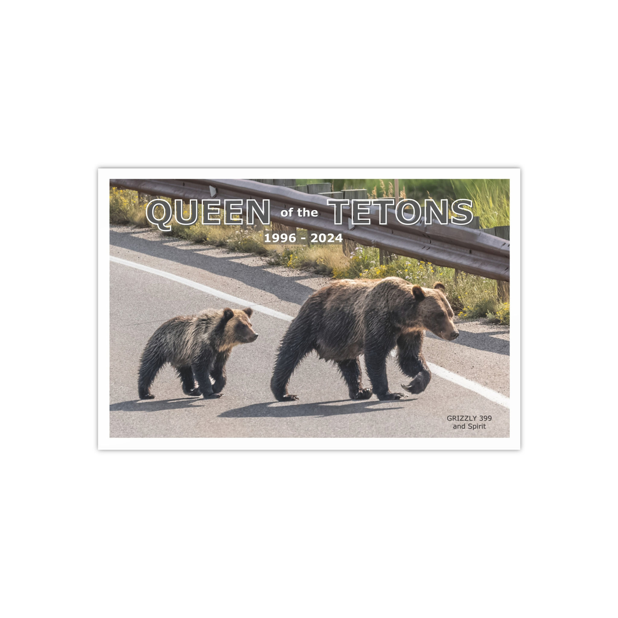Queen of the Tetons Bear Satin Poster - 300gsm Wall Art