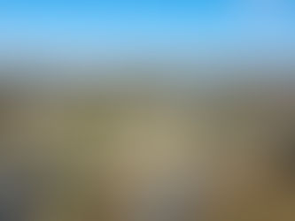 Glenwood, Maryland Pros and Cons YOU Need to Know