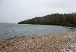 Shoreline