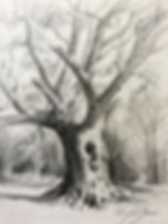 Project 9 - Tree - Step (3).jpg
