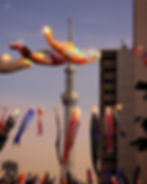 1【東京都】東白鬚公園 スカイツリー側広場