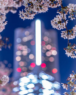 【神奈川】🌸landmark🌸