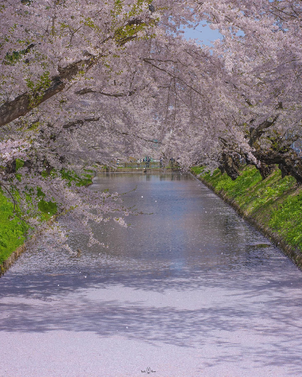 2【青森】弘前城 外濠 弘前保健所付近