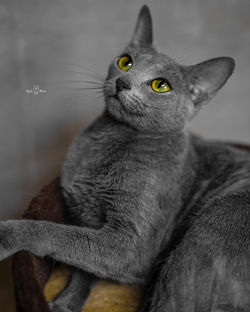 【東京】Beautiful Silver