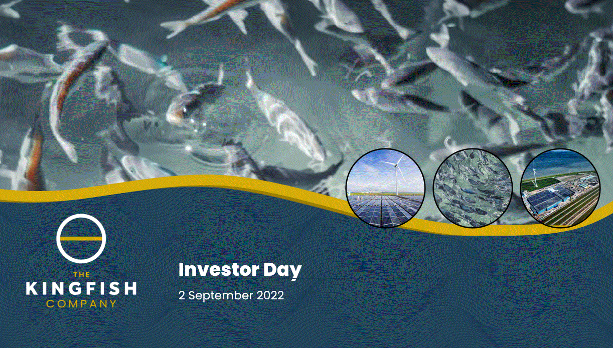 The Kingfish Company - Solid progress in first half 2022