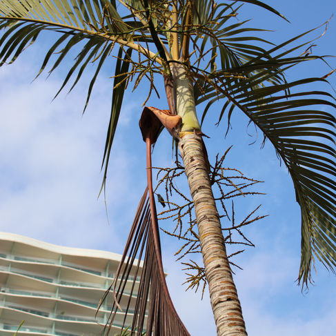 puerto-vallarta-vacation-rentals.JPG