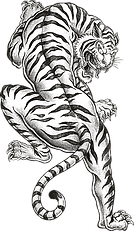 Tigre