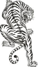 Tigre