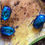 Thumbnail: Protaetia speciosa cyanochlora