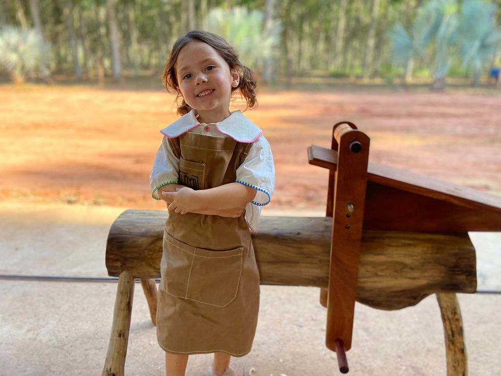 Sloyd Experience no Brasil