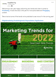 Internal Agency - LinkedIn  (3).png
