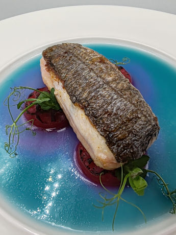 "Master class" molecular gastronomy