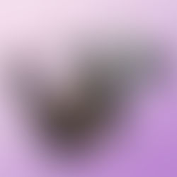 陳果《海闊天空》、《戲劇人生》、《似夢迷離》