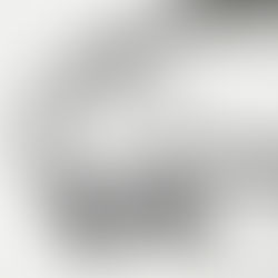 WIREWORLD Silver Electra 10 電源線 Silver Eclipse 10 訊號線中性無添加的美感