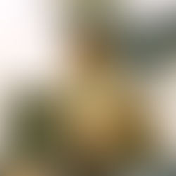 盛情難卻的聯乘新品 —— Mysticraft Acoustic Research 創辦人“Lee” 李冠霆專訪