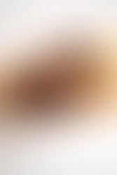 草根之上加添一點奢侈德生 TECSUN HP-150 高保真平衡耳機