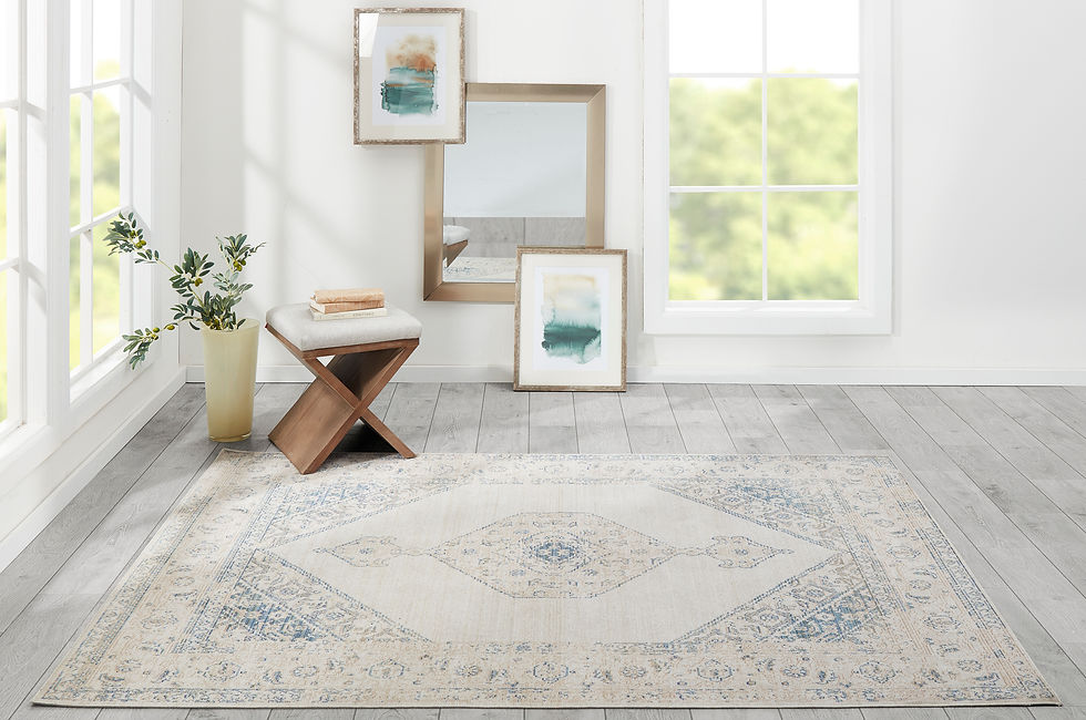 Thumbnail: Momeni Isabella ISA-10 Blue Polyester Traditional-Medallion Area Rug