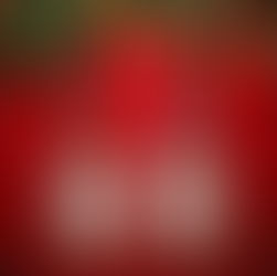 Foursquare Mandamus & Redolent Review