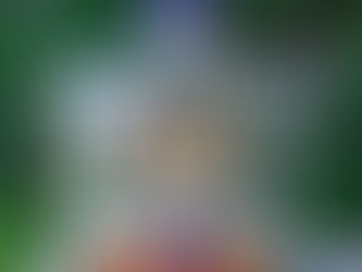 Ron Centenario 30, Centenario 18 & Angostura 1787 - No Mixers Needed!