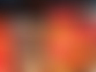 Doctor Bird Jamaica Rum