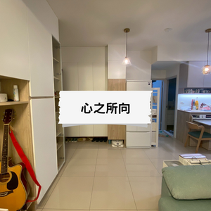 心之所向