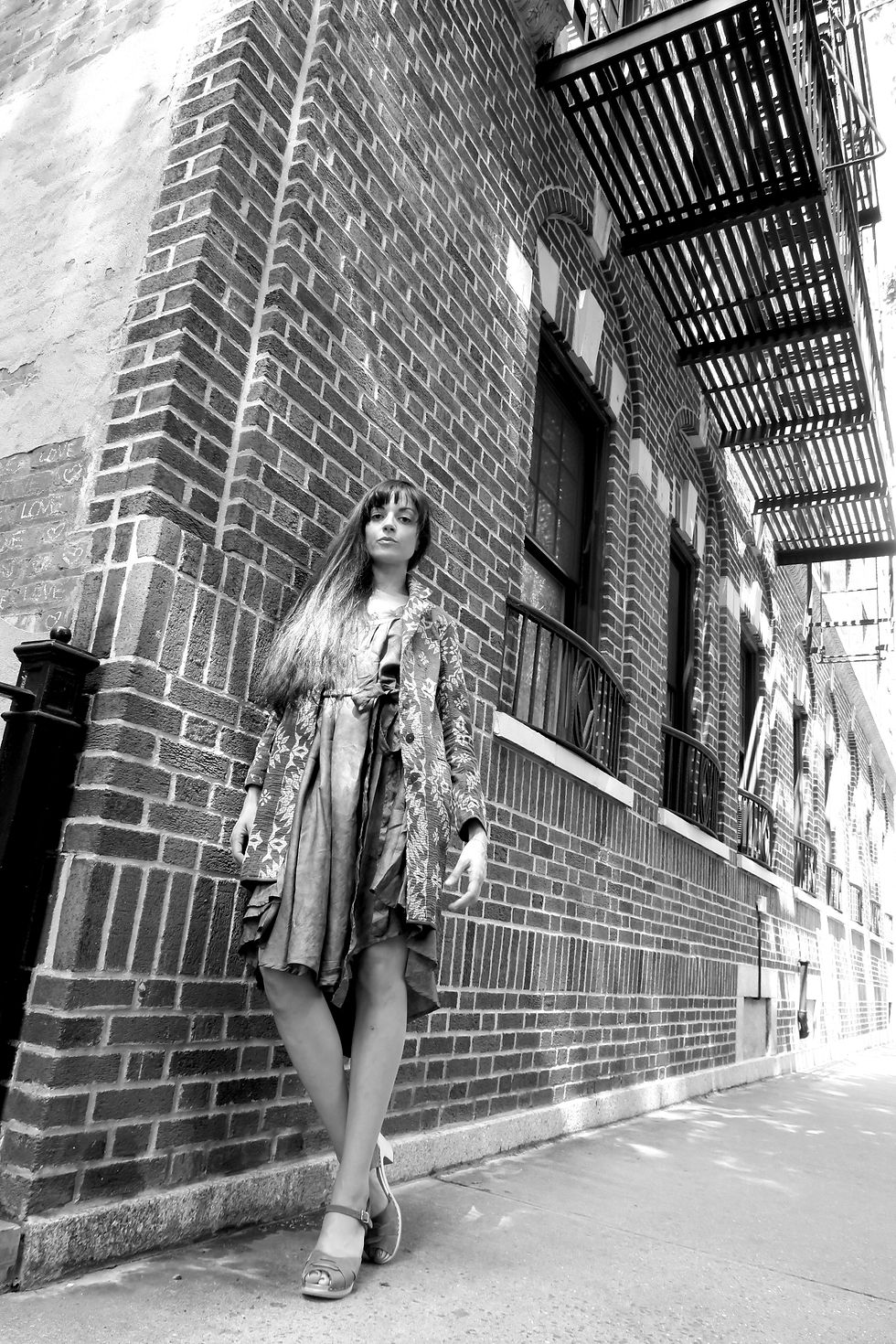 classic coat  + full circle dress