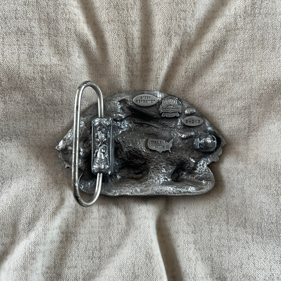 Pump Up Buckle Back View